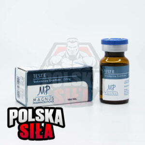 Testosteron Enanthate Magnus Test E (250 mg/ml - 1 fiolka)