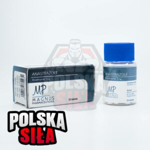 Anastrozol Magnus (1 mg - 25 tabl.)