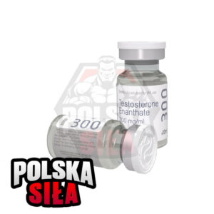 Testosteron Enanthate Cygnus (300 mg/ml - 1 fiolka)