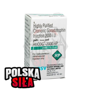 Gonadotropina kosmówkowa Bharat Serums & Vaccines Ltd (2000 jm - 1 fiolka)