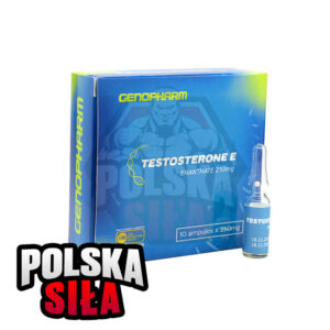 Testosteron Enanthate Genopharm (250 mg/ml - 1 ampułka)