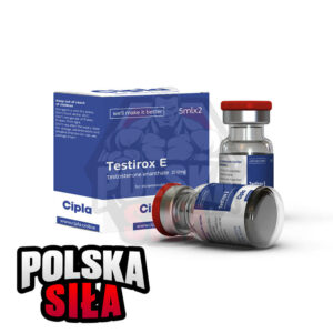 Testosteron Enanthate Cipla Testirox E (250 mg/ml - 1 fiolka)