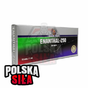 Testosteron Enanthate Malay Tiger Enanthal-250 (250 mg/ml - 1 ampułka)