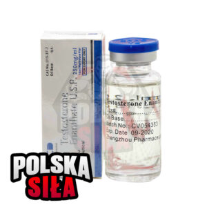 Testosteron Enanthate ZPHC (250 mg/ml - 1 fiolka)