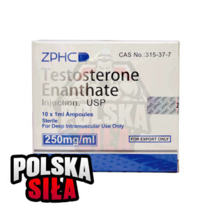 Testosteron Enanthate ZPHC (250 mg/ml - 1 ampułka)